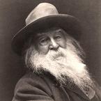 Walt Whitman image