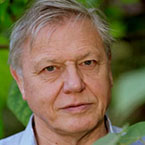 David Attenborough image