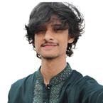 Ghulam Mohammad Faisal image