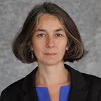 Audrey Truschke image
