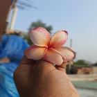 user-img