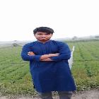 user-img