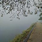 user-img