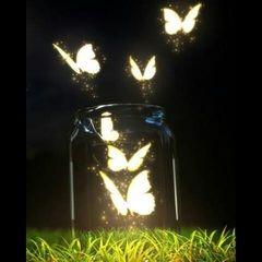 user-img